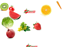 Tablet Screenshot of frutascandil.com
